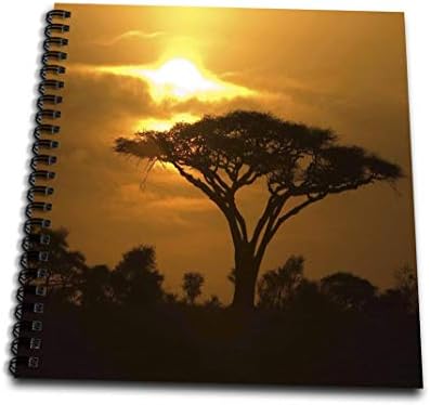 3dRose db_173294_2 Зонтичное дърво от Бодлива акация в Африканските равнини на залез слънце, Тропически Нощна сцена-Книга памет 12 12 инча