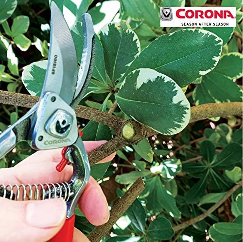 Corona Tools | Ножици за подрязване на клони и стъбла ClassicCUT® ClassicCUT® за градинарство | Отрязва клони
