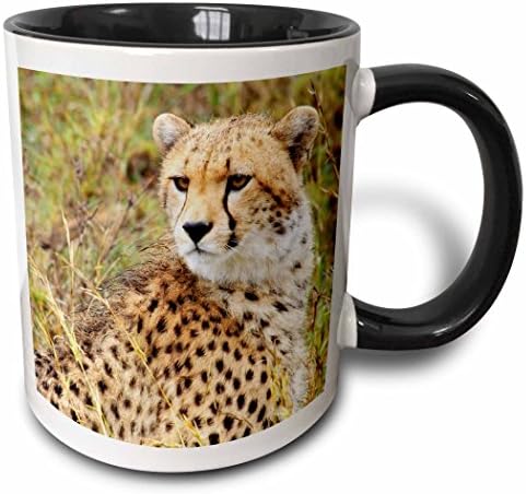 3дРоуз Рони Честейн Танзания - Муцуната на един Леопард, Близък план, Танзания - Чаши (mug_98367_1)