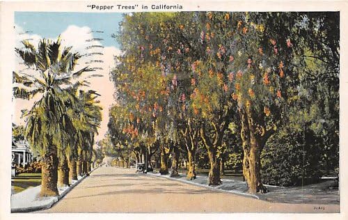 Разни, Калифорния Картичка